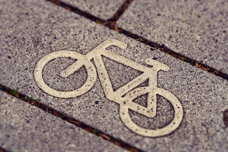 간병사 자격증 재발급 핵심 안내 인포그래픽 2